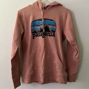 Patagonia Hoodie